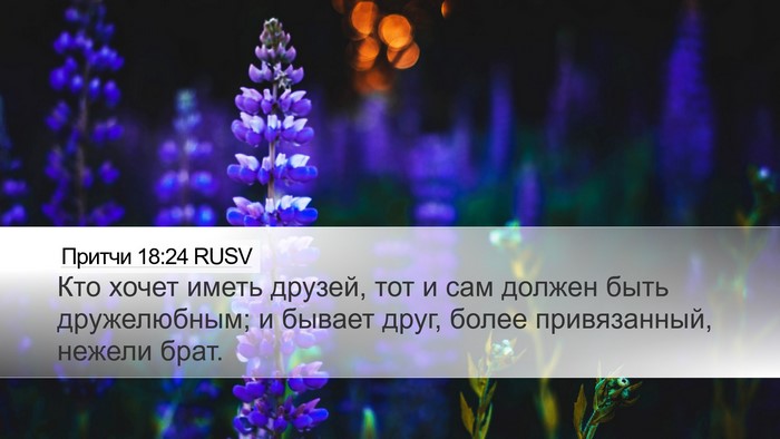 Притчи 18:24 RUSV Bible Verse Image