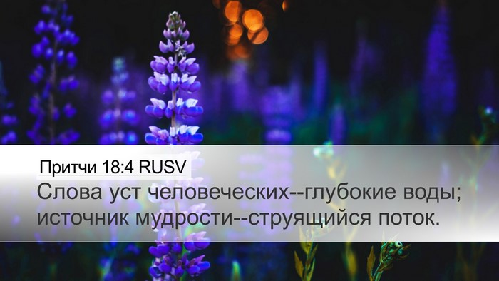 Притчи 18:4 RUSV Bible Verse Image