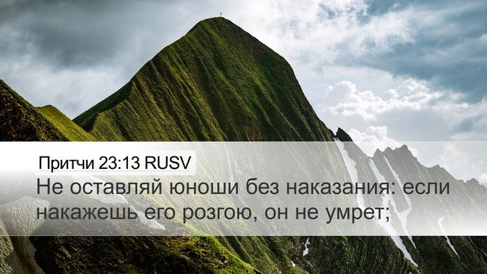 Притчи 23:13 RUSV Bible Verse Image