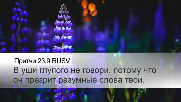 Притчи 23:9 RUSV Bible Verse Image