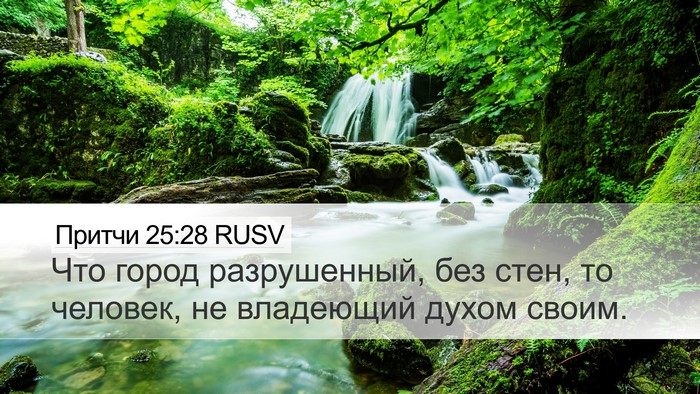Притчи 25:28 RUSV Bible Verse Image