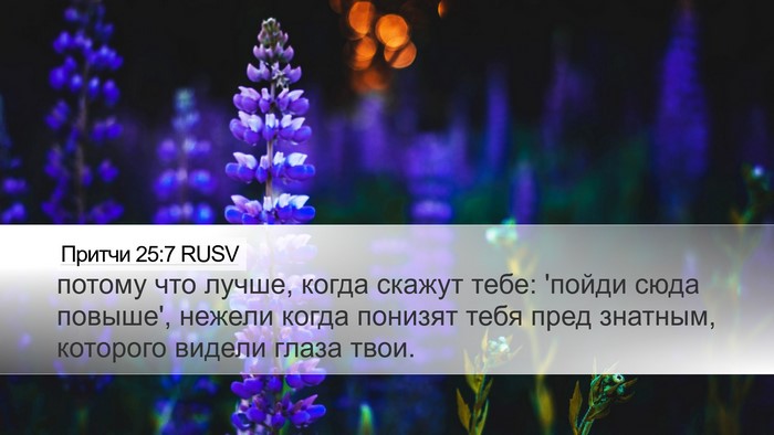 Притчи 25:7 RUSV Desktop Wallpaper - потому что лучше, когда - Desktop Bible Verse Wallpaper