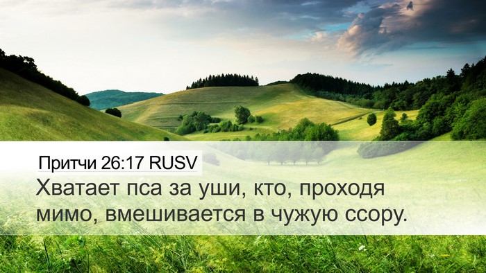 Притчи 26:17 RUSV Bible Verse Image
