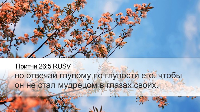Притчи 26:5 RUSV Bible Verse Image