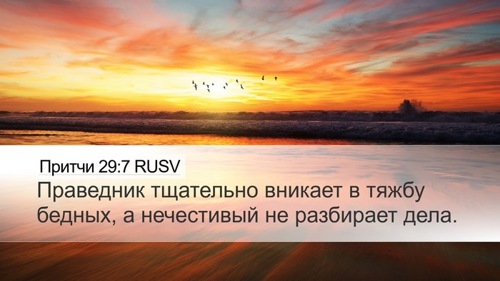 Притчи 29:7 RUSV Bible Verse Image
