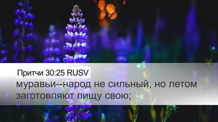 Притчи 30:25 RUSV Bible Verse Image