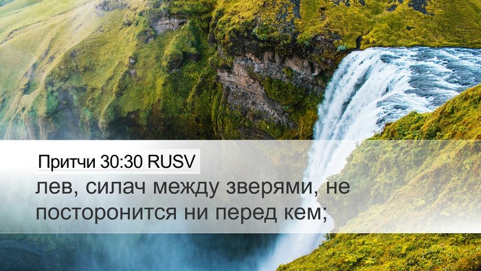 Притчи 30:30 RUSV Bible Verse Image