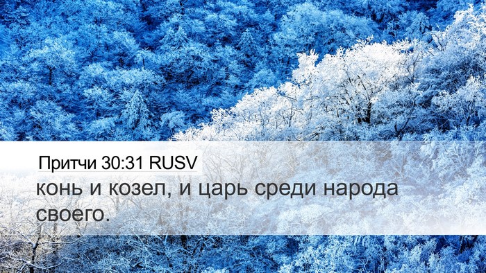 Притчи 30:31 RUSV Bible Verse Image