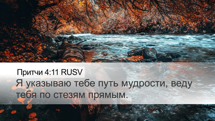 Притчи 4:11 RUSV Desktop Wallpaper - Я указываю тебе путь - Desktop Bible Verse Wallpaper