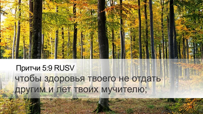 Притчи 5:9 RUSV Desktop Wallpaper - чтобы здоровья твоего не - Desktop Bible Verse Wallpaper