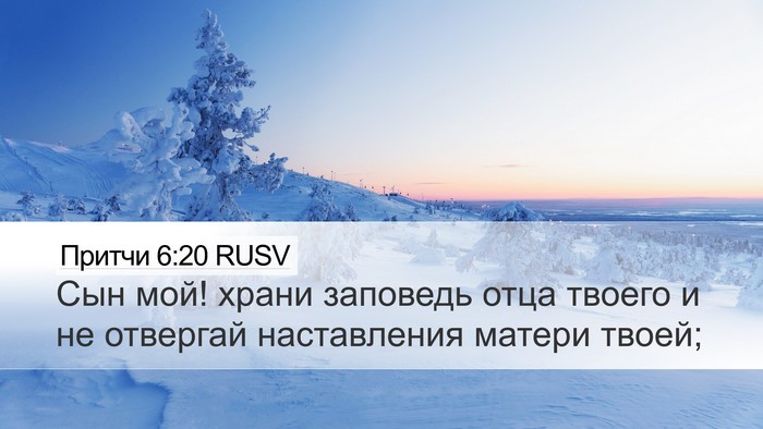 Притчи 6:20 RUSV Bible Verse Image