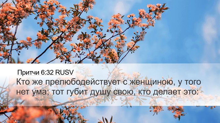Притчи 6:32 RUSV Bible Verse Image
