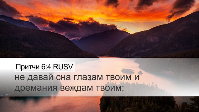 Притчи 6:4 RUSV Bible Verse Image
