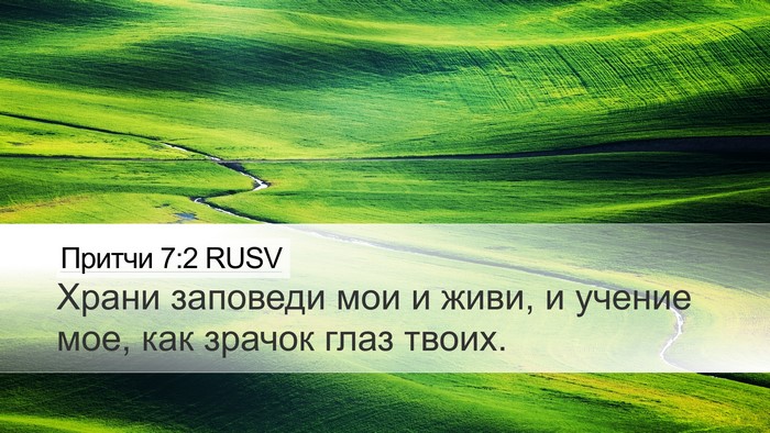 Притчи 7:2 RUSV Bible Verse Image