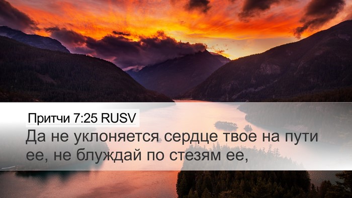 Притчи 7:25 RUSV Bible Verse Image
