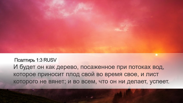 Псалтирь 1:3 RUSV Bible Verse Image