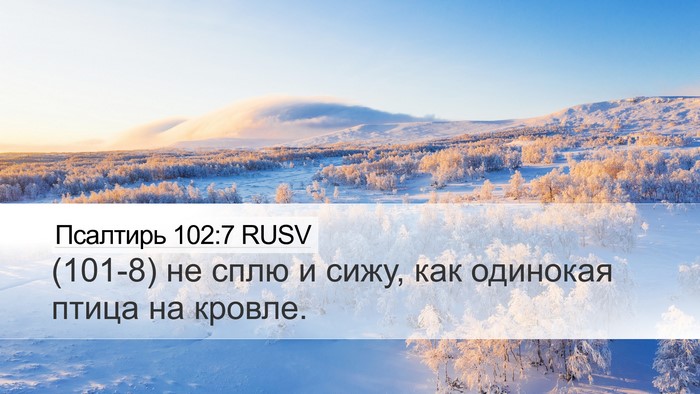Псалтирь 102:7 RUSV Bible Verse Image