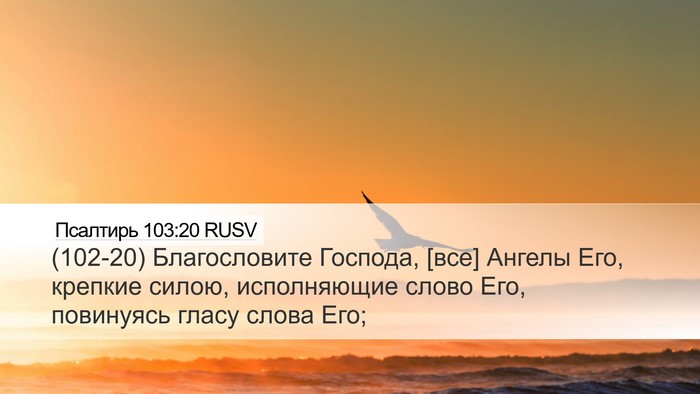 Псалтирь 103:20 RUSV Bible Verse Image