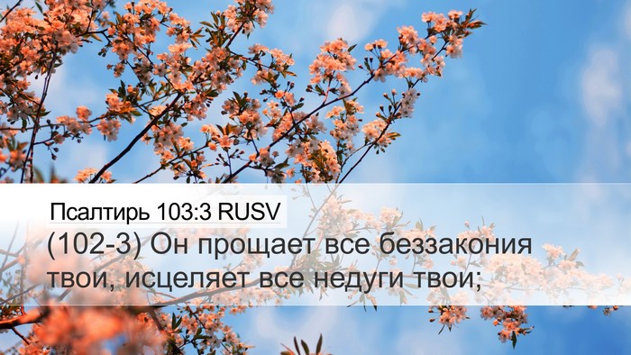 Псалтирь 103:3 RUSV Bible Verse Image