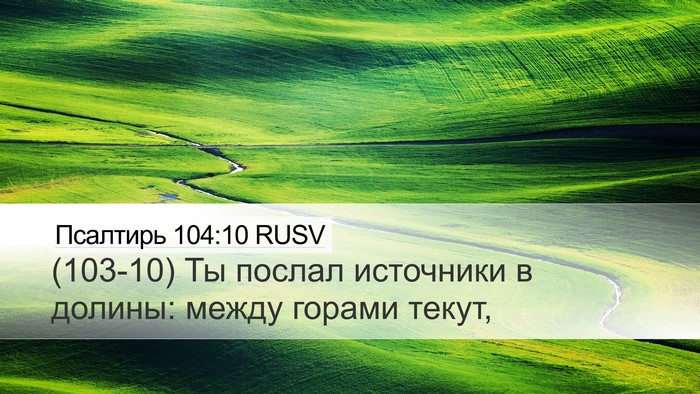 Псалтирь 104:10 RUSV Desktop Wallpaper - (103-10) Ты послал источники в - Desktop Bible Verse Wallpaper