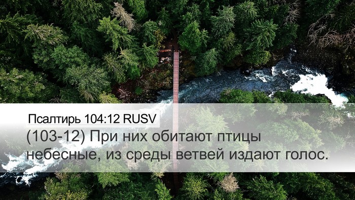 Псалтирь 104:12 RUSV Bible Verse Image