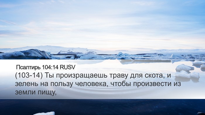 Псалтирь 104:14 RUSV Bible Verse Image