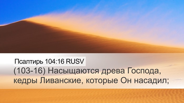 Псалтирь 104:16 RUSV Bible Verse Image