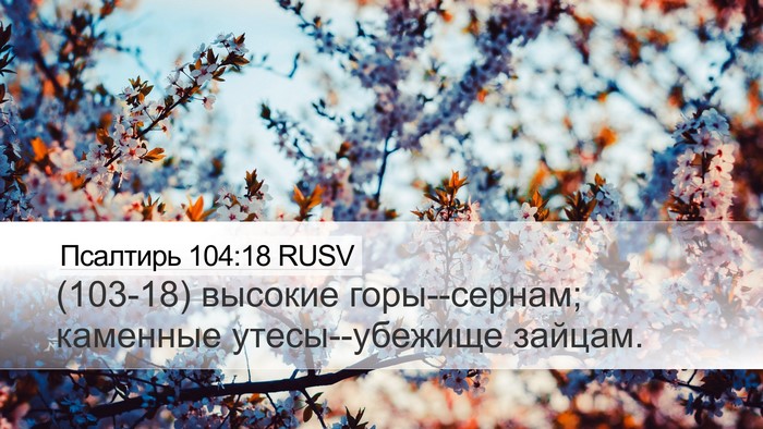 Псалтирь 104:18 RUSV Desktop Wallpaper - (103-18) высокие горы--сернам; - Desktop Bible Verse Wallpaper