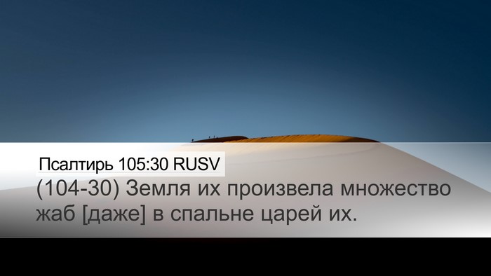 Псалтирь 105:30 RUSV Bible Verse Image
