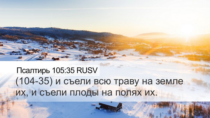 Псалтирь 105:35 RUSV Desktop Wallpaper - (104-35) и съели всю траву на - Desktop Bible Verse Wallpaper