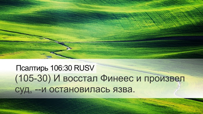 Псалтирь 106:30 RUSV Bible Verse Image