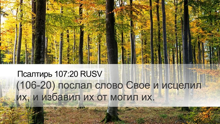 Псалтирь 107:20 RUSV Bible Verse Image