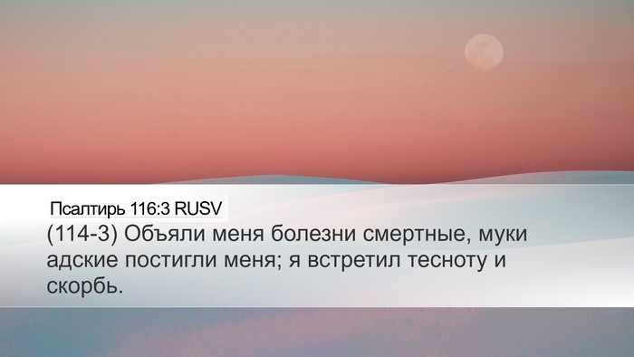 Псалтирь 116:3 RUSV Bible Verse Image