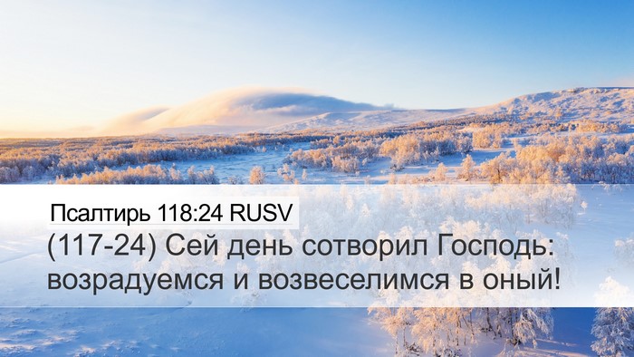 Псалтирь 118:24 RUSV Bible Verse Image