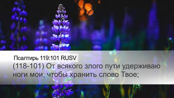 Псалтирь 119:101 RUSV Desktop Wallpaper - (118-101) От всякого злого пути - Desktop Bible Verse Wallpaper
