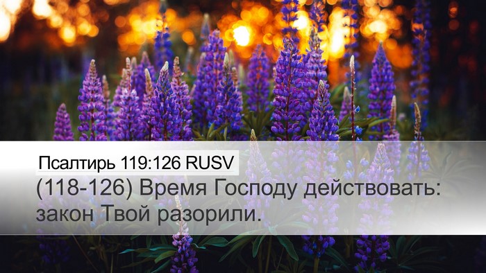 Псалтирь 119:126 RUSV Bible Verse Image
