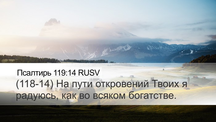 Псалтирь 119:14 RUSV Bible Verse Image