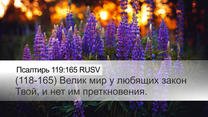 Псалтирь 119:165 RUSV Bible Verse Image
