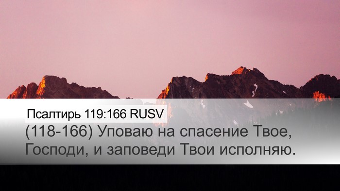 Псалтирь 119:166 RUSV Bible Verse Image