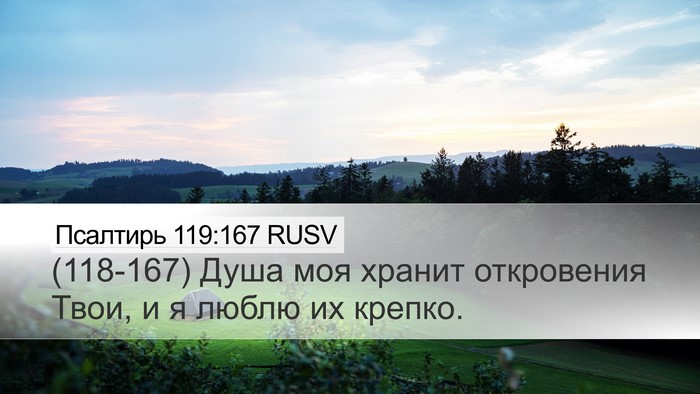 Псалтирь 119:167 RUSV Bible Verse Image