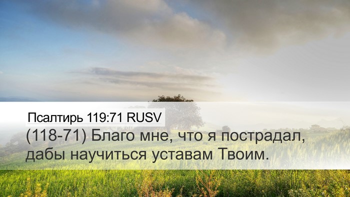 Псалтирь 119:71 RUSV Bible Verse Image