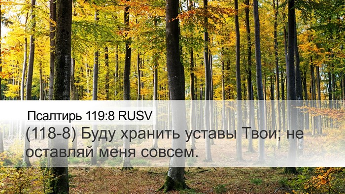 Псалтирь 119:8 RUSV Bible Verse Image