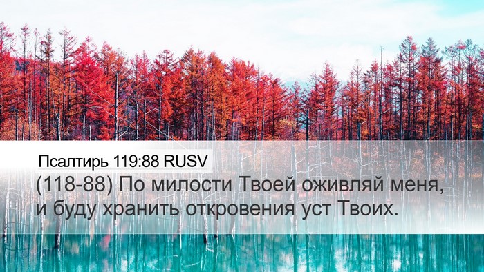Псалтирь 119:88 RUSV Bible Verse Image