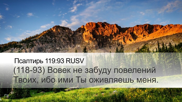 Псалтирь 119:93 RUSV Bible Verse Image