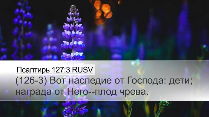 Псалтирь 127:3 RUSV Bible Verse Image