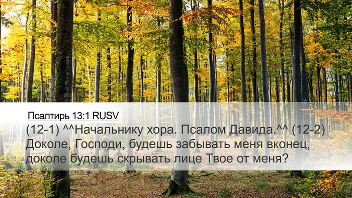 Псалтирь 13:1 RUSV Bible Verse Image