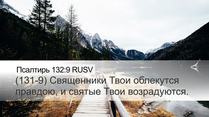 Псалтирь 132:9 RUSV Bible Verse Image