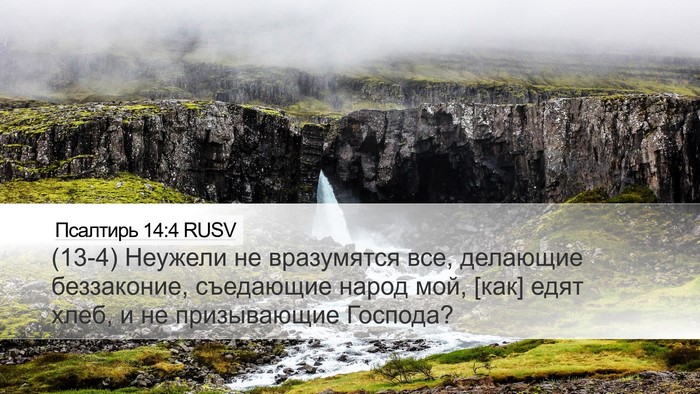 Псалтирь 14:4 RUSV Bible Verse Image