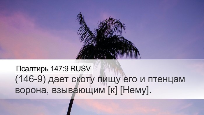 Псалтирь 147:9 RUSV Bible Verse Image
