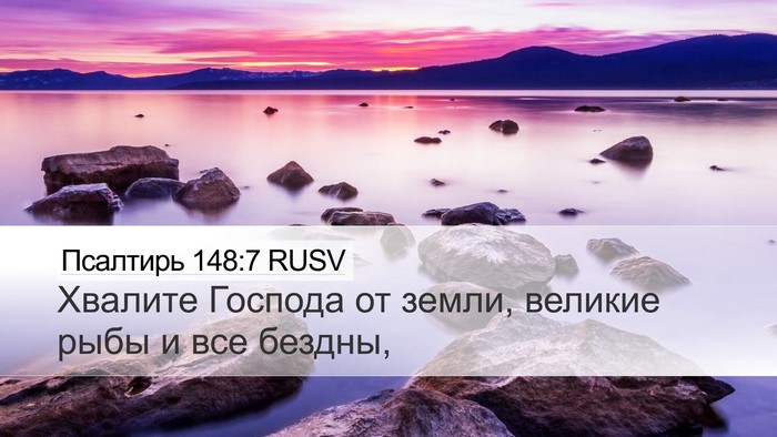 Псалтирь 148:7 RUSV Desktop Wallpaper - Хвалите Господа от земли, - Desktop Bible Verse Wallpaper